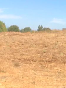 0 Highway 74/wasson Canyon Rd, Perris, CA, 92570