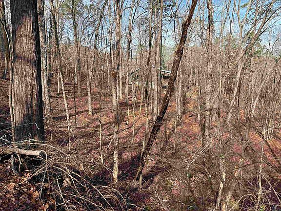 3rd image of (Undisclosed Address)