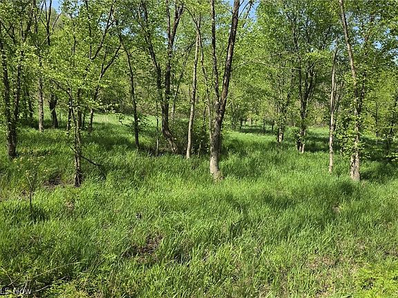 4th image of 6820 Crane Run Rd