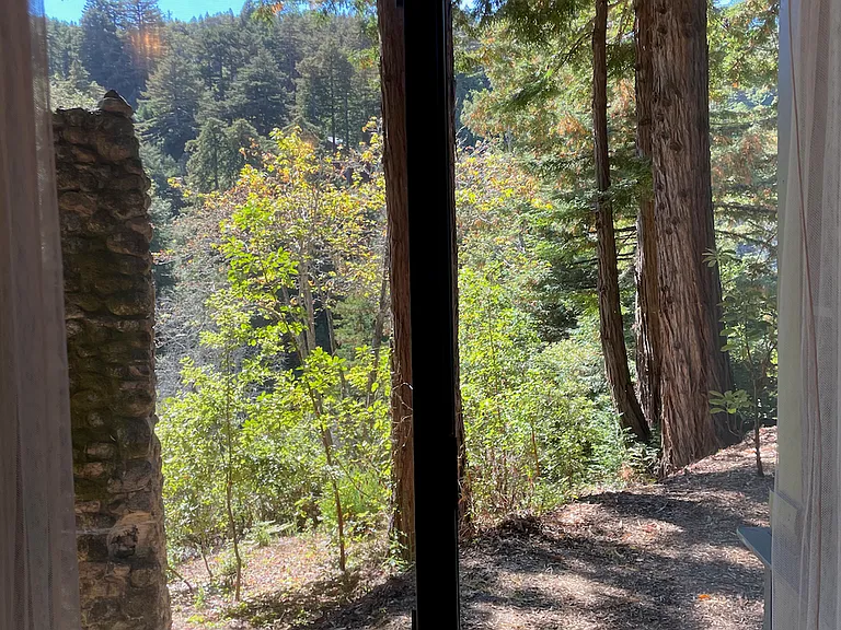Palo Colorado Rd — Photo 16