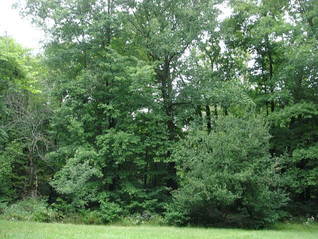 2nd image of 368 E Howe Rd