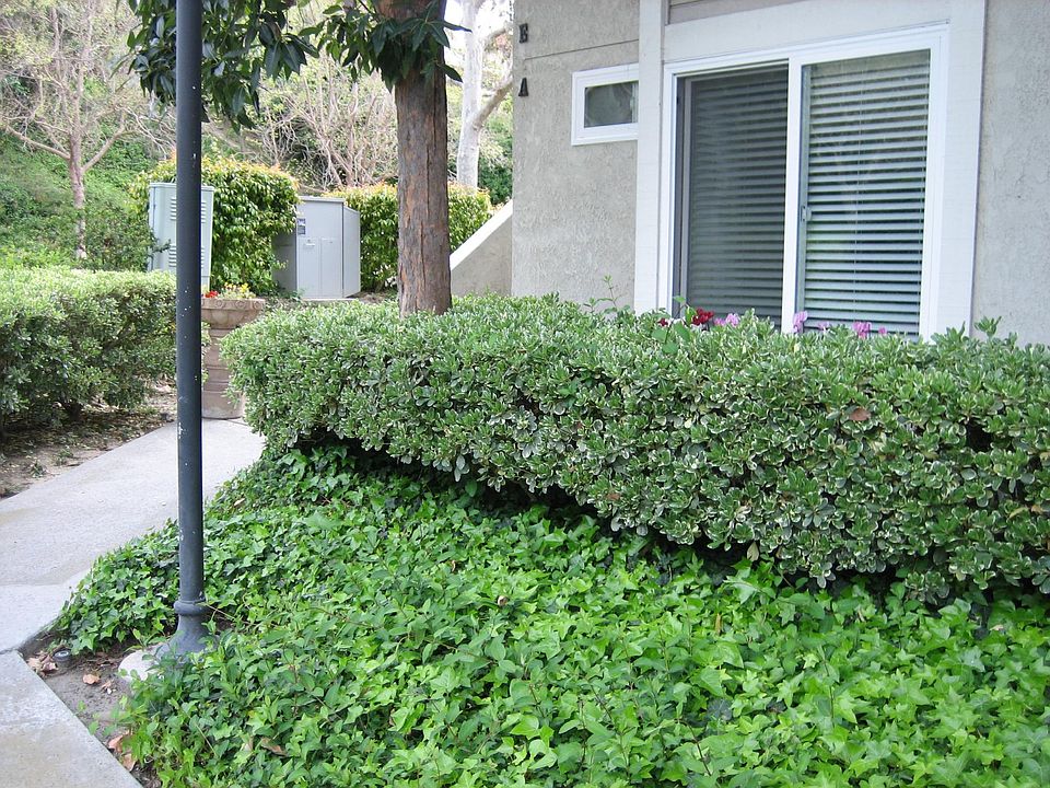 Downstairs corner unit