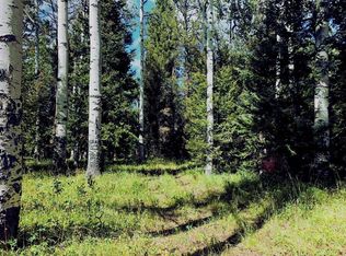 185 Aspen Trl, Cimarron, CO 81220