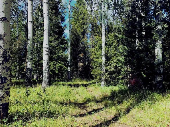 185 Aspen Trail, Cimarron, CO 81220