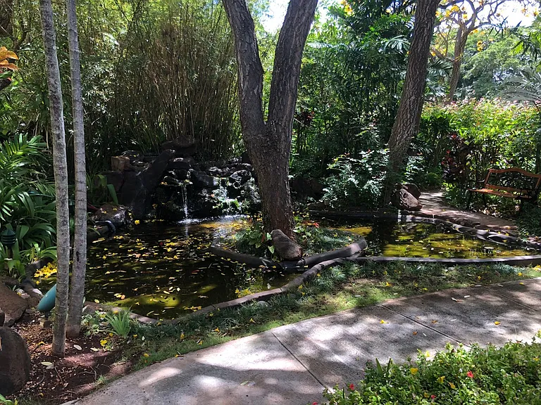5333 Likini St #2608 — Photo 8