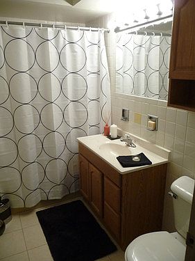5th image of 229 Marengo Ave APT 512