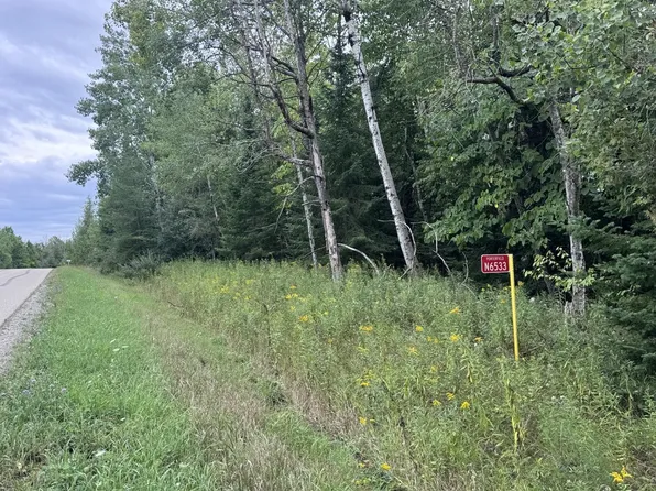 N6533 Miles Rd, Porterfield, WI 54159