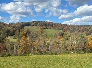453 Triverfield Rd, Franklin, NY 13775