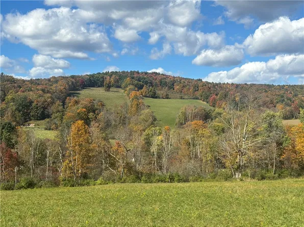 453 Triverfield Rd, Franklin, NY 13775