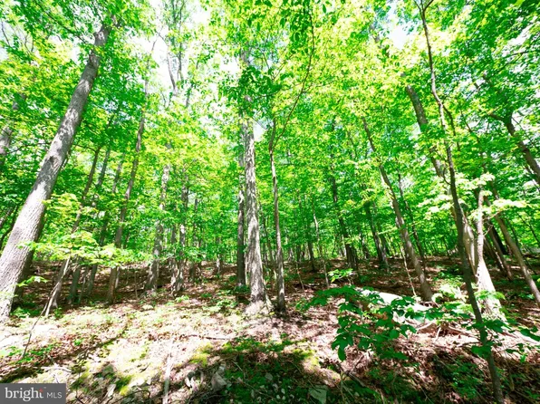 Lots 8 & 9 Elk Trl, Winchester, VA 22602