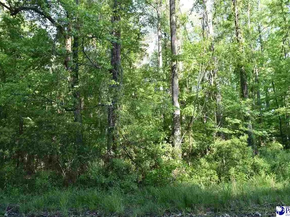 621 Forest Acres Dr, Pamplico, SC 29583