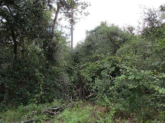 4th image of 4225 W Geraldine Dr