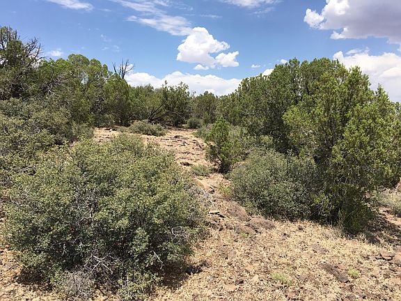 3rd image of 5322 N Kit Fox Trl