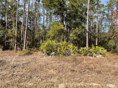 LOT 23 SW Tiger Lake Blvd W Lot 23, Dunnellon, FL, 34431