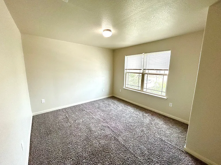 6814 Hibiscus Fls — Photo 13