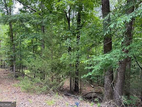 4th image of 0 Bramlett Cir