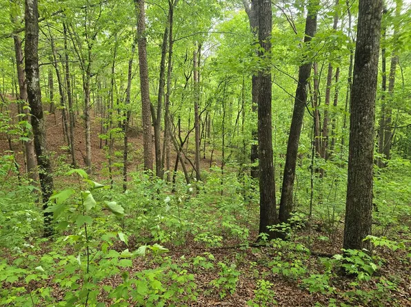 0 Pinnacle Dr, Ellijay, GA 30540