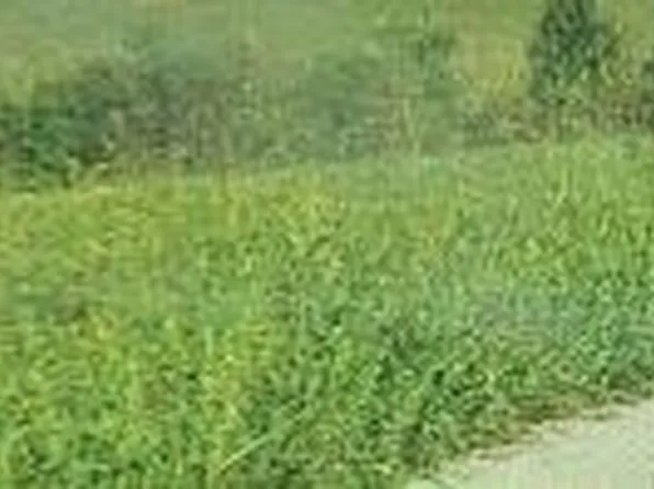 111 Grandview Cir Lot A29, Flemingsburg, KY 41041