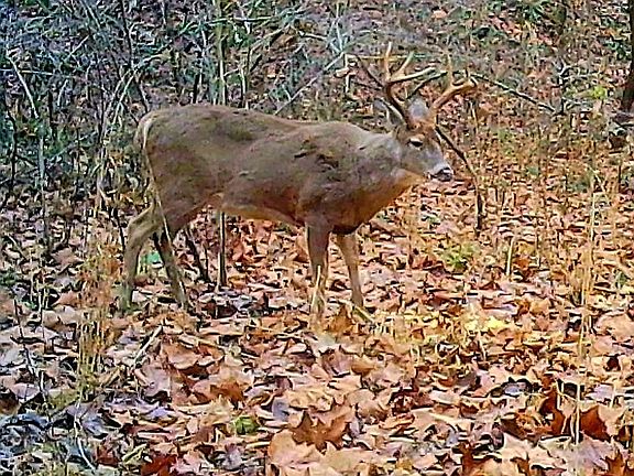 3rd image of 1045 Sardis Rd