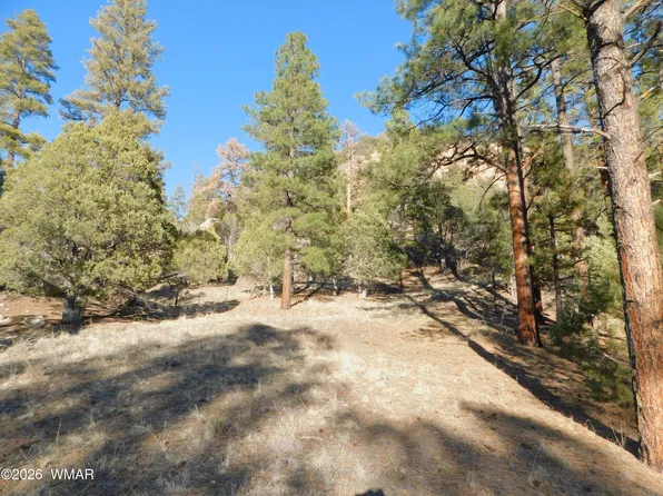 29 N2277, Nutrioso, AZ 85932