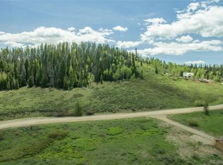 27415 Jim Beam Pl, Clark, CO 80428