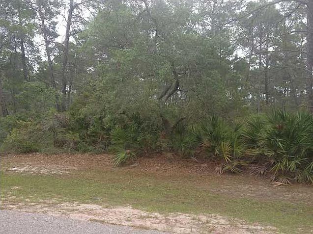 1st image of 294 Magnolia Bay Dr