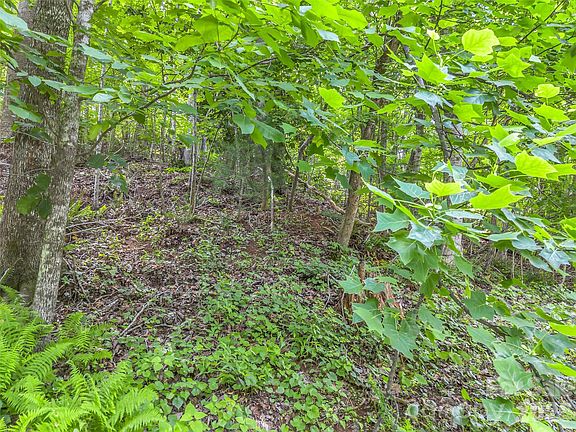5th image of 0 Rainbow Cir Lot 11