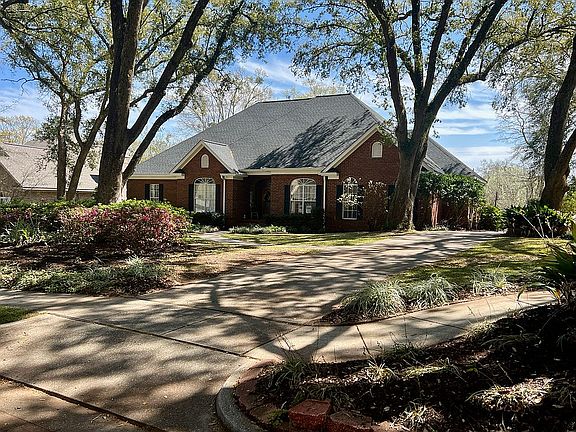Water Oak trees as you enter