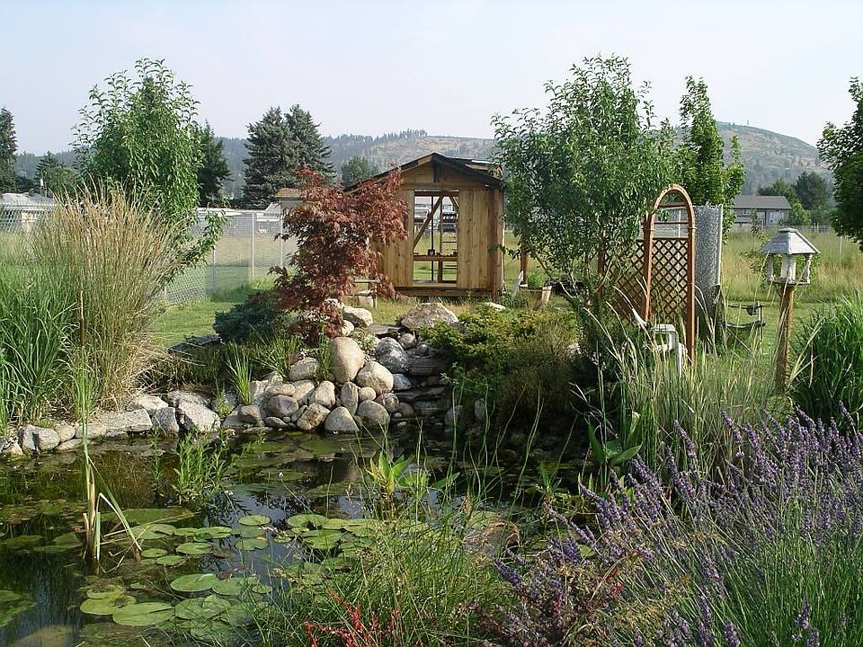 Pond n Chicken Coop