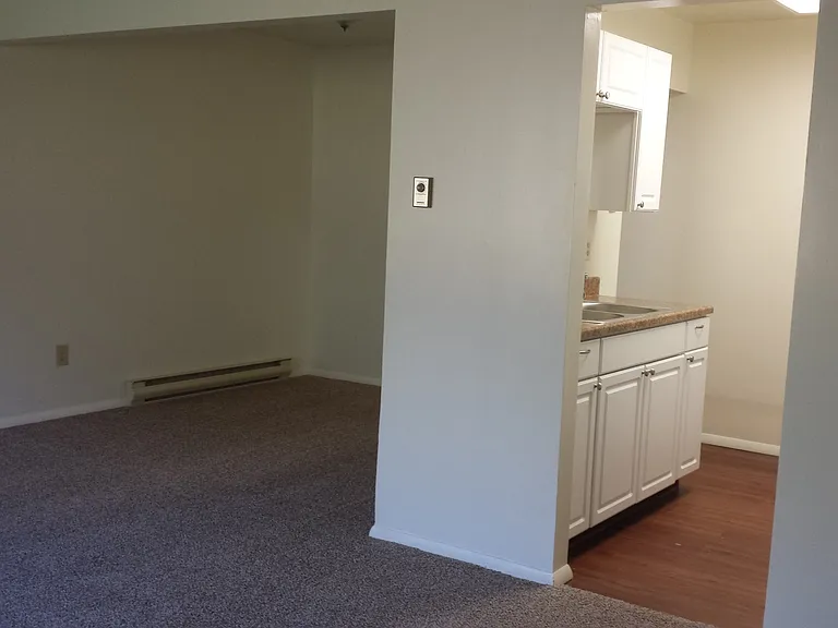 1038 Bonnieview Ter — Photo 17