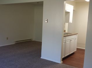 1038 Bonnieview Ter #207, Wilmington, NY 12997