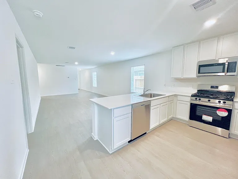 1379 Diamond Carnation Dr — Photo 10