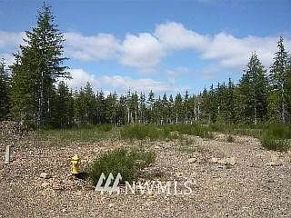9999 Big Pine Way photo 1