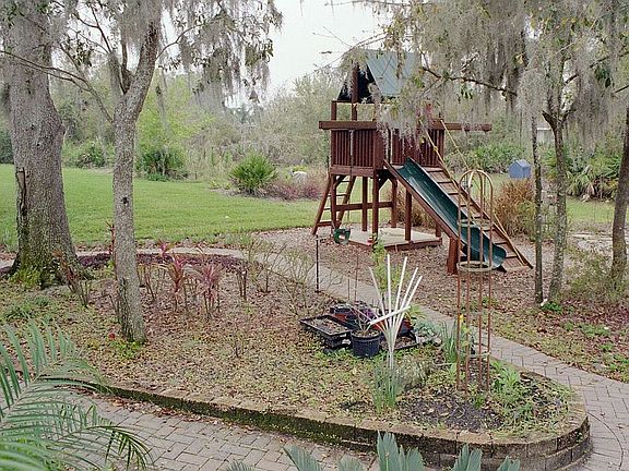 backyard left