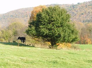 139 Brighton Rd, Worcester, NY 12197