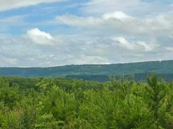 LOT 1 Bethel Rd Lot 1, Valley Head, AL 35989