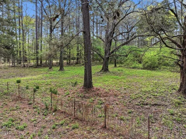 0 Harrisville Braxton Rd, Braxton, MS 39044