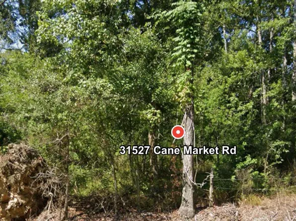 31527 Cane Market Rd, Walker, LA 70785