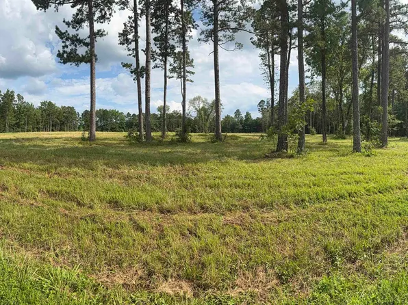 Jackson Dr, Quitman, AR 72131