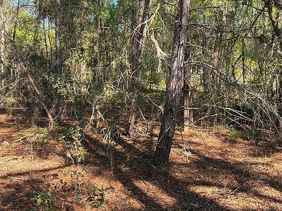 4th image of 24533 Pink Panther Rd