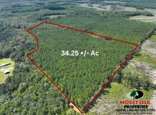 0 Buck Ln, Woodbine, GA 31569