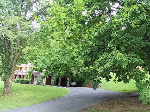 3rd image of 103 Terrace Ct
