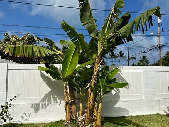 3rd image of 640 Auwai St