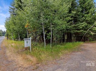 813 Reedy Ln, McCall, ID 83638