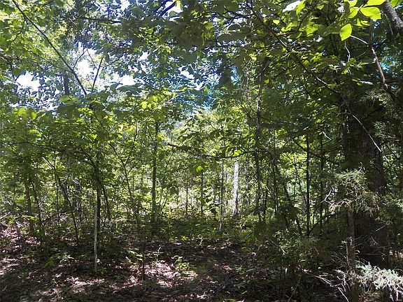 3rd image of 0 Bowers Rd