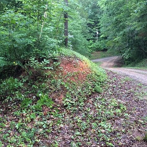1st image of 805 Whispering Pine Trl