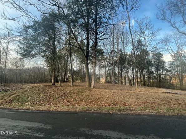 Hill Station Alley Rd, Gate City, VA 24251