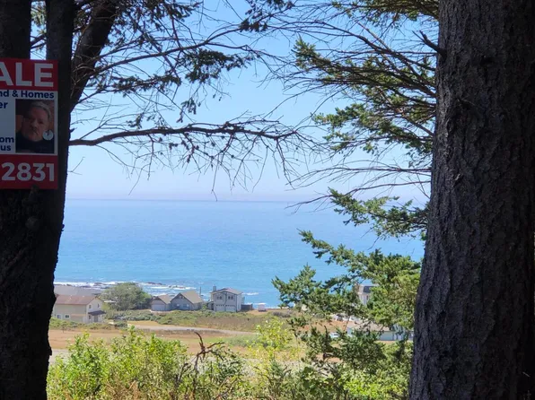 36 Bambi Dr, Whitethorn, CA 95589