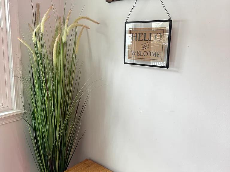 209 Shiny Mountain Rd — Photo 16