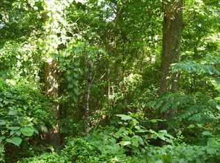 1 Brasher Dr, Decaturville, TN 38329